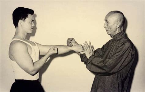 See related image detail. Ip man o grande mestre | Wiki | Otanix Amino