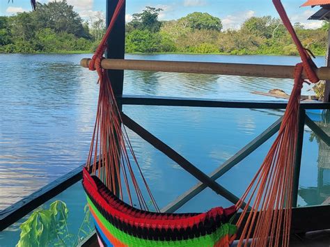 GAMBOA AMAZONAS JUNGLE TOURS (2026) All You Need to Know BEFORE You Go ...