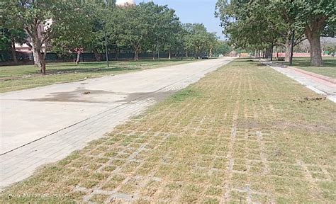 Kartavya Path | Central Vista Redevelopment Project