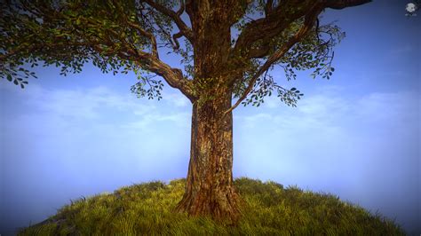 Image result for SpeedTree 8 Tutorials for Unity