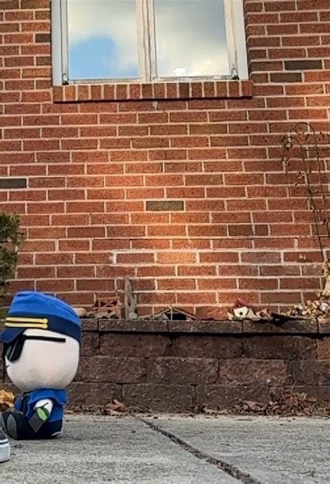 Image result for TDS Max Commander