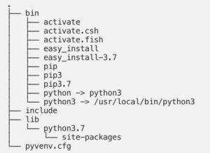 Python Venv Activation 的图像结果
