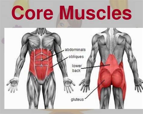 Inner Core Muscle 的图像结果