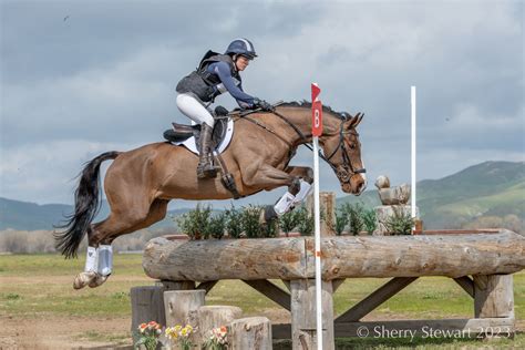 Who Jumped It Best? Twin Rivers Open Intermediate Edition | Eventing Nation - Three-Day Eventing ...