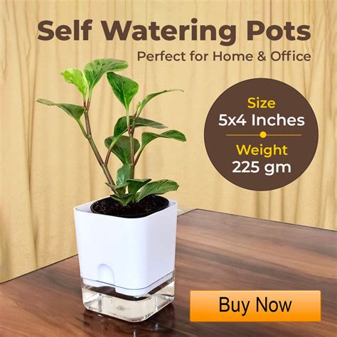 Organic Gardening Fertilizers, Potting Soil, Planters- Casa De Amor