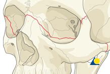 Best Dental hospital in Madurai,best dental clinic in Madurai,teeth ...