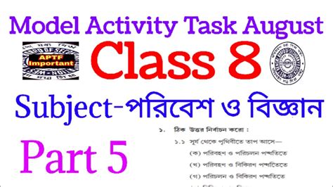 Model Activity Task Class 8 Part 5 的图像结果