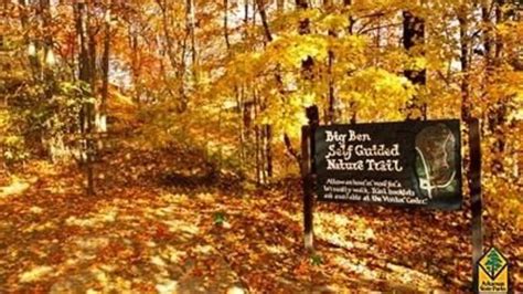 'Star Party' at Village Creek State Park