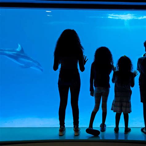 Pop-Up Chicken Shop | Enjoy Illinois