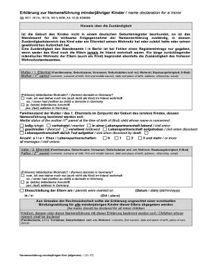 Fillable Online windhuk diplo Erklrung zur Namensfhrung minderjhriger ...