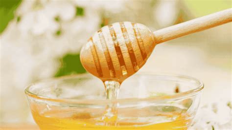 How to Treat Low Porosity Hair: Easy & Effective Tips