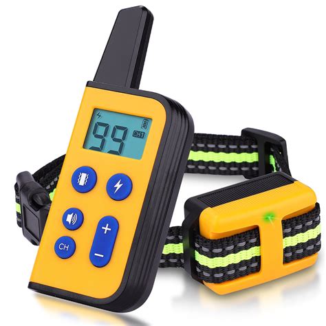 Shock Collar When Dog Is Wet at Janice Hogan blog