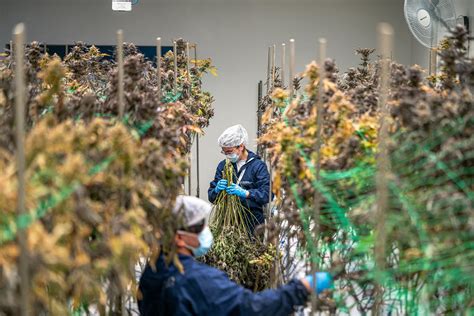 Hot+Tan+Lines Photos, Download The BEST Free Hot+Tan+Lines Stock Photos & HD Images