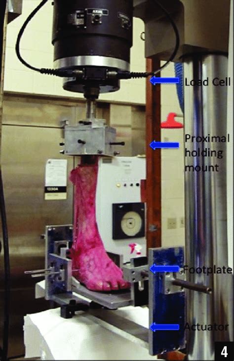 Image result for Load Cell Testing