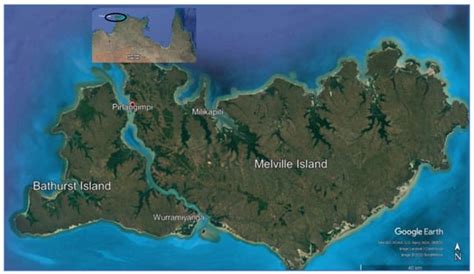 Utilizing Locally Available Bioresources for Powering Remote Indigenous ...