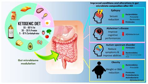 Ketogenic Diet: A Dietary Intervention via Gut Microbiome Modulation for the Treatment of ...