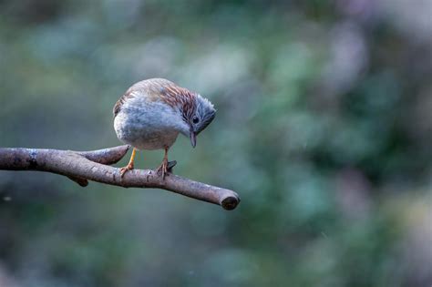 Beautiful Environment Graphics 的图像结果