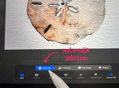Image result for Remove Objects From Photo Procreate