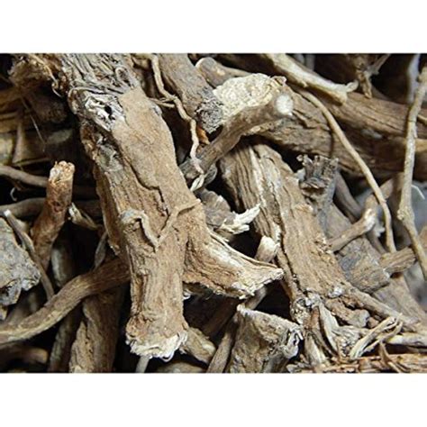 Plant House Punarnava/Boerhavia diffusa Herb Dry Root/Jad 250gm ...