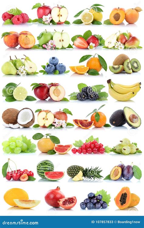 Image result for Fruit Example
