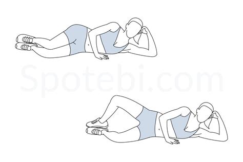 Image result for Clam Additonal Exercises