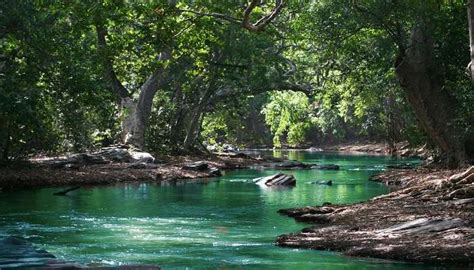 Sri Lanka In November 2025: Best Things To Do, Places To Visit & Festivals