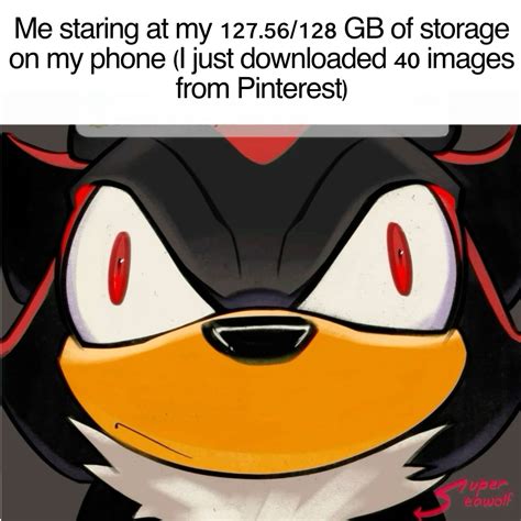 Best 13 shadow the hedgehog meme – Artofit