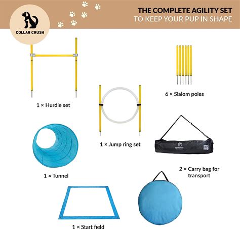 Dog Agility Training Equipment - The Online Doggy Shop