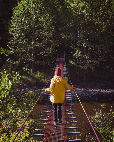 Campgrounds Near Benezette Pennsylvania: Scenic Camping Spots