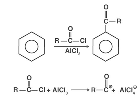 Nucleophilic Substitution Reactions: Sn1 & Sn2 | Organic Chemistry