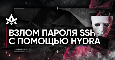 Взламываем пароль SSH с помощью Hydra — Teletype