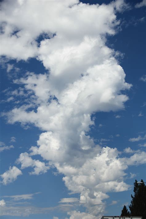 Image result for Sky Texture