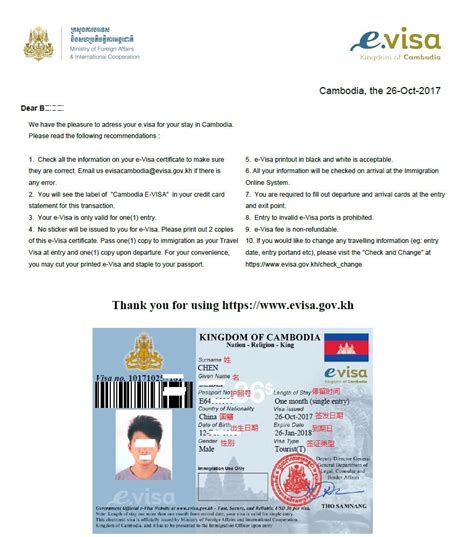电子签证 evisa - 知乎