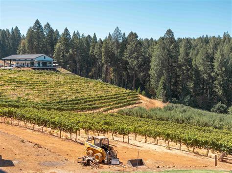 Ultimate Guide to Apple Hill, California