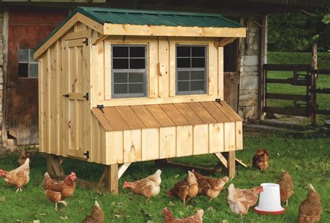Prefab Chicken Coops | Buy a Chicken House for Your Chickens