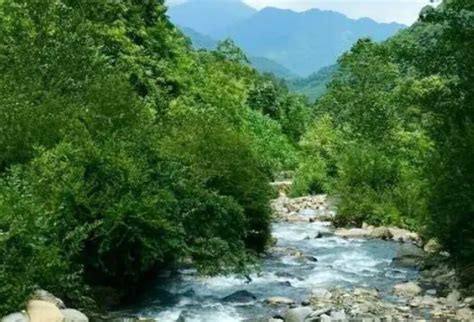 四川绵阳保护水源地生态 找回承载“童年乡愁”的河流|凤凰|水源地|吴家镇_新浪新闻