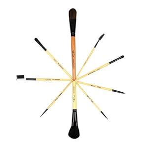 VEGA 9-in-1 Professional Makeup Brush Set - Wooden, 9 Pieces, EVS-9 ...