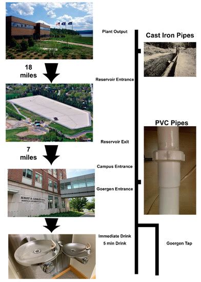 Silicon Nanomembrane Filtration and Imaging for the Evaluation of ...