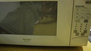 Image result for Sharp Carousel Microwave Light Replacement