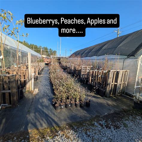 Pensacola Seed & Garden North (@pensacolaseedandgardennorth ...