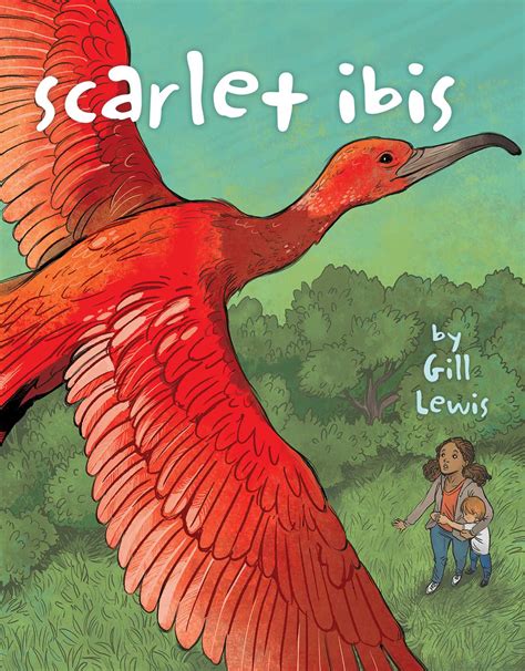 Scarlet Ibis | Book by Gill Lewis, Susan Meyer | Official Publisher ...