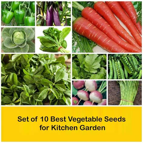 Buy Set of 10 Best Vegetable Seeds for Kitchen Garden online from ...