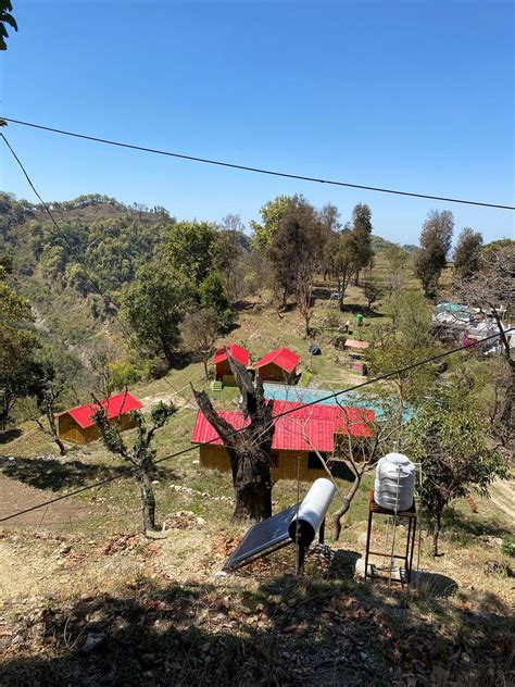 Soaking in the mist. , Kandakhal Kimsar Road, Rishikesh, Uttarakhand ...