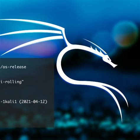 Linux 2022 的图像结果