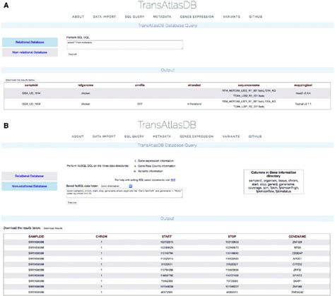 Image result for SQL Dql
