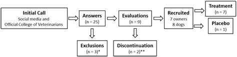 Preliminary Findings on Low-Dose 1cp-LSD for Canine Anxiety: Exploring ...