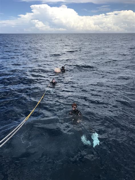 06-18-20 2 41 pm - South Florida Diving Headquarters