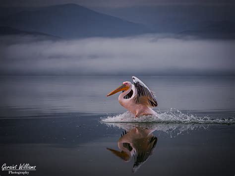 Exhibition Acceptances – Geraint's Photography