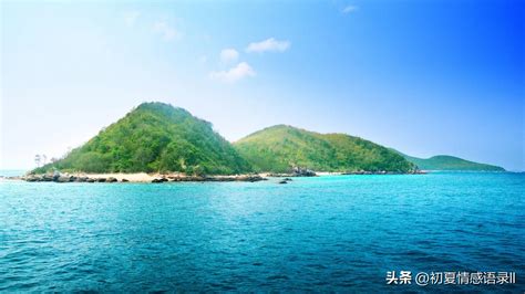 Short sentences of life perception, there is always a sentence that ...