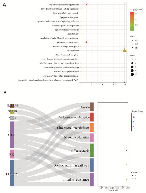 Identification of Genomic Structural Variations in Xinjiang Brown ...